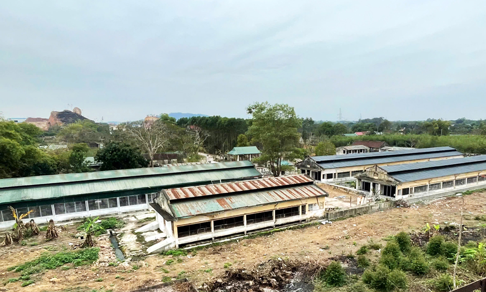  Bảo đảm doanh nghiệp hoạt động hiệu quả sau thoái vốn Nhà nước